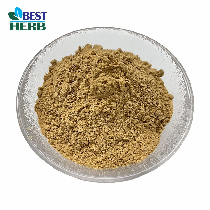 Gymnema Leaf Extract